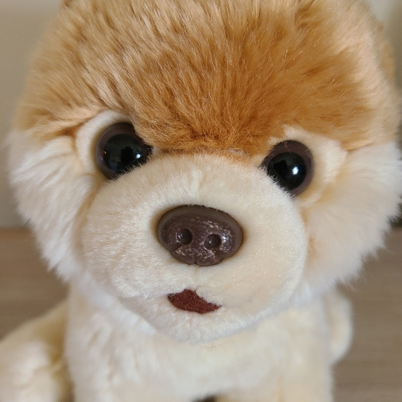 🌟GUND "Boo" The World's Cutest Dog Stuffed Animal Plush Toy Pomeranian 9" - Picture 3 of 9